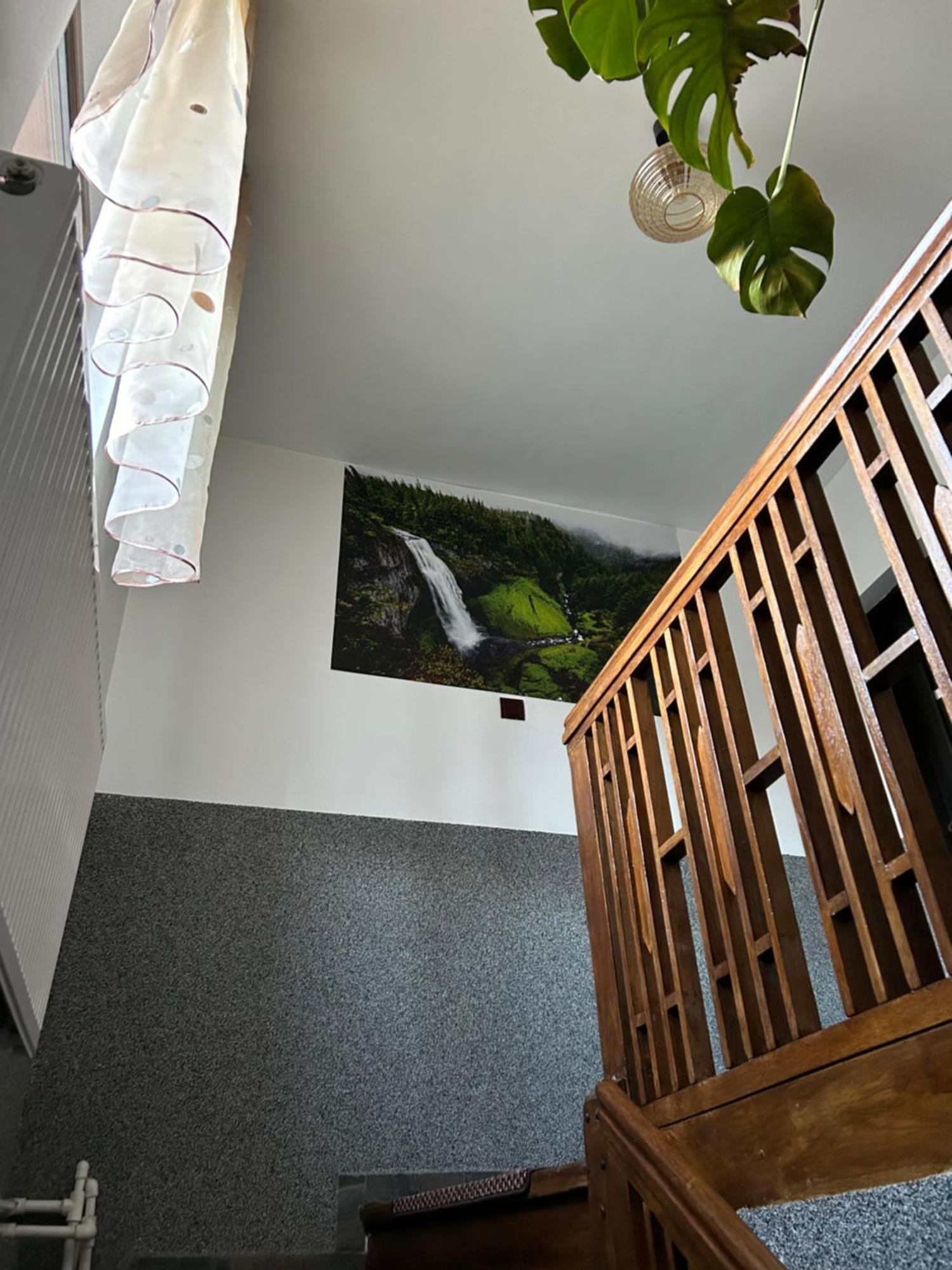 Casa Raraului Câmpulung Moldovenesc Exterior foto